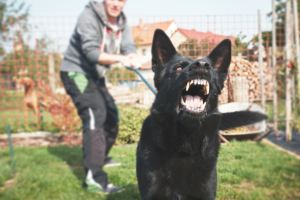 The Increased Risk of Dog Bite Injuries During COVID-19